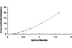 Typical standard curve (SNX13 ELISA Kit)