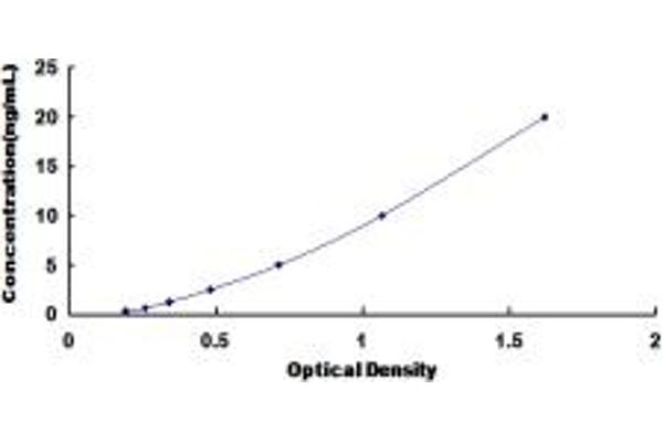 SNX13 ELISA Kit