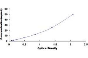 Typical standard curve (SCARA3 ELISA Kit)