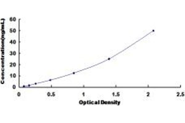 SCARA3 ELISA Kit