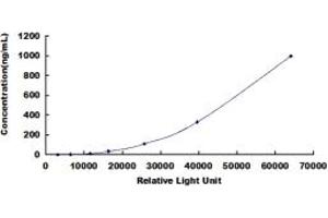 ELISA image for Gelsolin (GSN) CLIA Kit (ABIN491856)