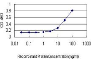 Detection limit for recombinant GST tagged F11 is approximately 10ng/ml as a capture antibody. (Factor XI antibody  (AA 286-385))