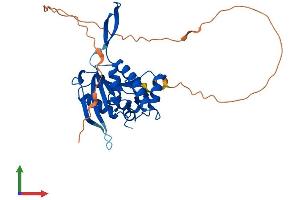 AlphaFold protein structure predicition of Human Recombinant UPRT Protein, UniprotID Q96BW1 (UPRT Protein (AA 1-309) (His tag))