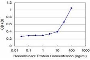Detection limit for recombinant GST tagged TGIF2 is approximately 3ng/ml as a capture antibody. (TGIF2 antibody  (AA 131-236))