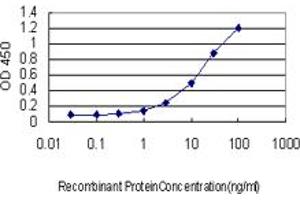 ELISA image for anti-NAD(P)H Dehydrogenase, Quinone 1 (NQO1) (AA 1-274) antibody (ABIN560604)