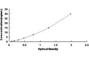 Typical standard curve (IGFBP2 ELISA Kit)