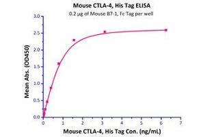 Immobilized Mouse B7-1, Fc Tag (Cat# CD0-M5259) at 2 μg/mL (100 µl/well),can bind Mouse CTLA-4, His Tag (Cat# CT4-M52H5) with a linear range of 0.