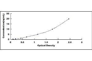 Typical standard curve (alpha Fetoprotein ELISA Kit)