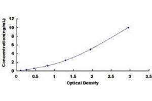 ELISA image for S100 Calcium Binding Protein A5 (S100A5) ELISA Kit (ABIN417783) (S100A5 ELISA Kit)