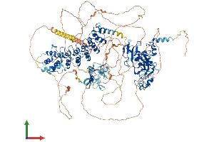 AlphaFold protein structure predicition of Mouse Recombinant Ehmt2 Protein, UniprotID Q9Z148 (EHMT2 Protein (AA 1-1263) (His tag))