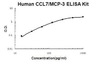 Human CCL7/MCP-3 PicoKine ELISA Kit standard curve (CCL7 ELISA Kit)