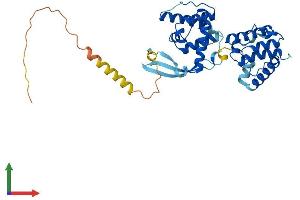 AlphaFold protein structure predicition of Mouse Recombinant Parvb Protein, UniprotID Q9ES46 (Parvin, beta Protein (PARVB) (AA 1-365) (His tag))