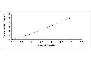 Typical standard curve (CX3CL1 ELISA Kit)