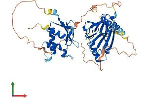 AlphaFold protein structure predicition of Human Recombinant IRF8 Protein, UniprotID Q02556