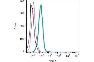 Cell surface detection of PTGER2 in live intact mouse J774 macrophage cells: + rabbit IgG isotype control-FITC.