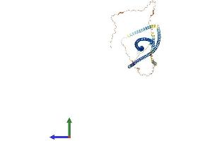 AlphaFold protein structure predicition of Human Recombinant GOLGA6D Protein, UniprotID P0CG33 (GOLGA6D Protein (AA 1-693) (His tag))