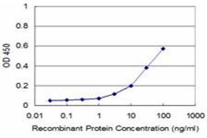 Detection limit for recombinant GST tagged GHRL is approximately 3ng/ml as a capture antibody. (Ghrelin antibody  (AA 24-117))