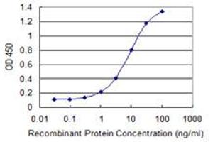 Detection limit for recombinant GST tagged ROBO3 is 0. (ROBO3 antibody  (AA 1-147))