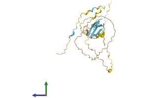 AlphaFold protein structure predicition of Human Recombinant PRR23C Protein, UniprotID Q6ZRP0 (PRR23C Protein (AA 1-262) (His tag))