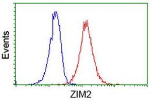 Flow Cytometry (FACS) image for anti-Zinc Finger, Imprinted 2 (ZIM2) (AA 1-150), (AA 428-527) antibody (ABIN1490589) (ZIM2 antibody  (AA 1-150, AA 428-527))
