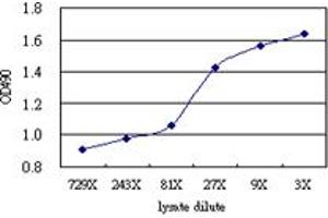 CD86 (Human) Matched Antibody Pair
