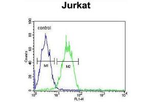 ARGLU1 Antibody (N-term) flow cytometric analysis of Jurkat cells (right histogram) compared to a negative control cell (left histogram).
