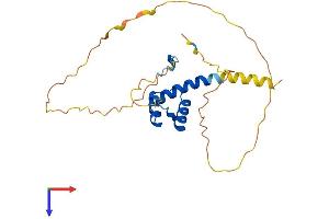 AlphaFold protein structure predicition of Human Recombinant HOXB6 Protein, UniprotID P17509 (HOXB6 Protein (AA 1-224) (His tag))