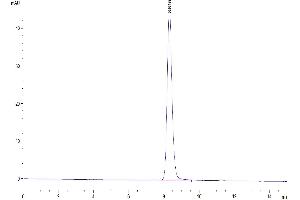Size-exclusion chromatography-High Pressure Liquid Chromatography (SEC-HPLC) image for Cytokine-Like 1 (CYTL1) (AA 26-139) protein (Fc Tag) (ABIN7274011)