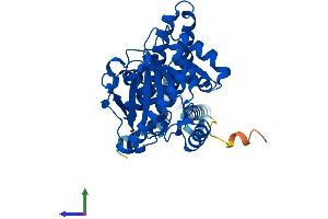 AlphaFold protein structure predicition of Mouse Recombinant Agpat4 Protein, UniprotID Q8K4X7 (AGPAT4 Protein (AA 1-378) (His tag))