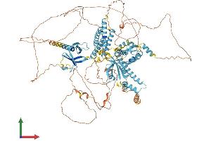 AlphaFold protein structure predicition of Human Recombinant CNKSR2 Protein, UniprotID Q8WXI2