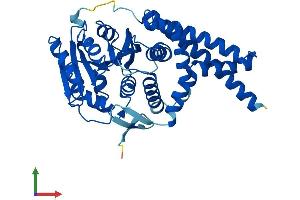 AlphaFold protein structure predicition of Mouse Recombinant Ugcg Protein, UniprotID O88693 (UGCG Protein (AA 1-394) (His tag))