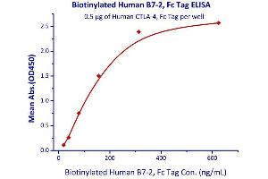 Immobilized Human CTLA-4, Fc Tag  with a linear range of 19-156 ng/mL. (CD86 Protein (CD86) (AA 26-247) (Fc Tag,AVI tag,Biotin))