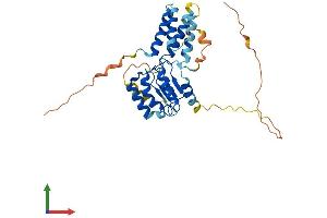 AlphaFold protein structure predicition of Mouse Recombinant Lrrc75b Protein, UniprotID Q7TPD7 (LRRC75B/FAM211B Protein (AA 1-306) (His tag))