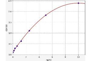 PGAM2 ELISA Kit