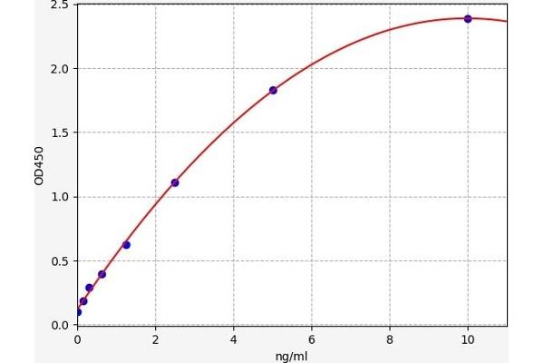 PGAM2 ELISA Kit