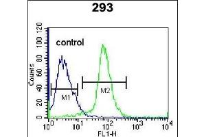 EPGN Antibody (N-term) (ABIN655189 and ABIN2844805) flow cytometric analysis of 293 cells (right histogram) compared to a negative control cell (left histogram). (Epigen antibody  (N-Term))