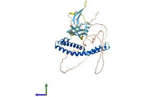 AlphaFold protein structure predicition of Mouse Recombinant Ell3 Protein, UniprotID Q80VR2