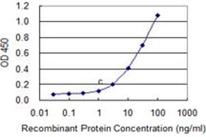 Detection limit for recombinant GST tagged C9orf103 is 0. (IdnK antibody  (AA 41-141))