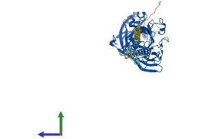 Protein Structure (PS) image for Scavenger Receptor Class B, Member 1 (SCARB1) (AA 1-509) protein (His tag) (ABIN7563894)