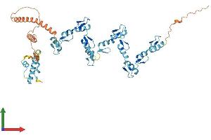 AlphaFold protein structure predicition of Human Recombinant ZNF253 Protein, UniprotID O75346