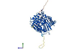 AlphaFold protein structure predicition of Human Recombinant CMAHP Protein, UniprotID Q9Y471 (Cmah Protein (AA 1-501) (His tag))