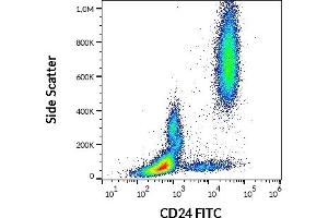 Flow cytometry surface staining pattern of human peripheral whole blood stained using anti-human CD24 (SN3) FITC antibody (20 μL reagent / 100 μL of peripheral whole blood). (CD24 antibody  (FITC))