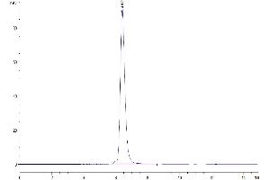 The purity of Human LAIR1 is greater than 95 % as determined by SEC-HPLC.