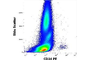 Flow cytometry surface staining pattern of human peripheral whole blood stained using anti-human CD34 (581) PE antibody (20 μL reagent / 100 μL of peripheral whole blood). (CD34 antibody  (PE))