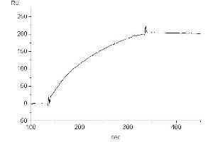 Target binding kinetics (Biacore (Mouse anti-Human IgE (Fc Region) Antibody)