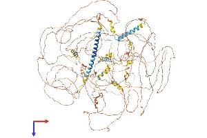AlphaFold protein structure predicition of Mouse Recombinant Prrc2b Protein, UniprotID Q7TPM1 (PRRC2B Protein (AA 1-1486) (His tag))