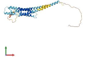 AlphaFold protein structure predicition of Mouse Recombinant Odf4 Protein, UniprotID Q8VI88 (ODF4 Protein (AA 1-290) (His tag))