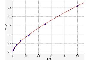 RARS ELISA Kit