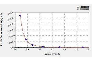 Dihydrotestosterone ELISA Kit