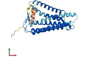 AlphaFold protein structure predicition of Human Recombinant OR10J6P Protein, UniprotID Q8NGY7 (OR10J6P Protein (AA 1-276) (His tag))